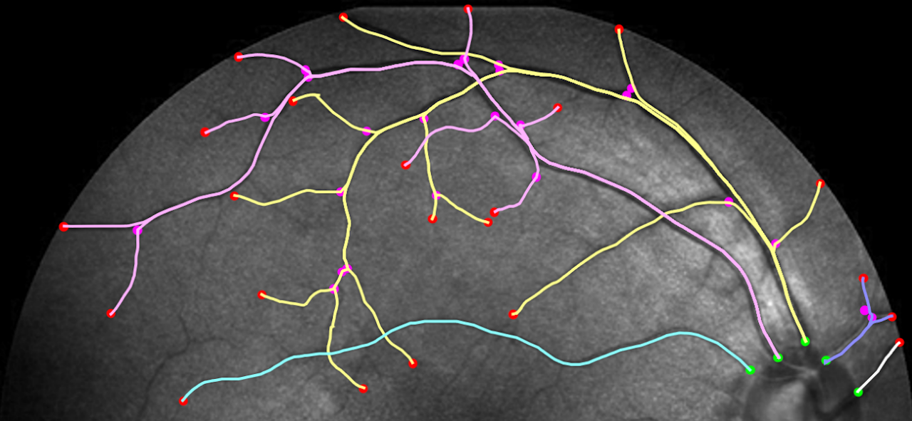 SE2 tracking paper thumbnail