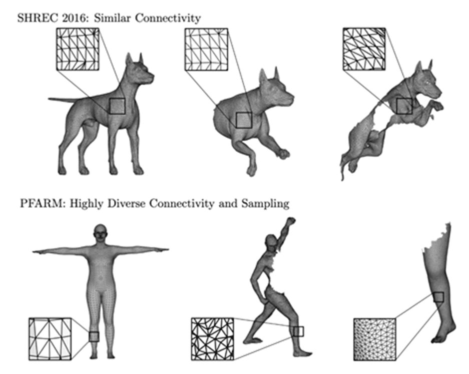 Partial functional maps visual